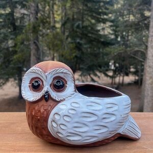 Vintage Owl Ceramic Planter -Cache Pot w/Drain Hole- Brown and White
